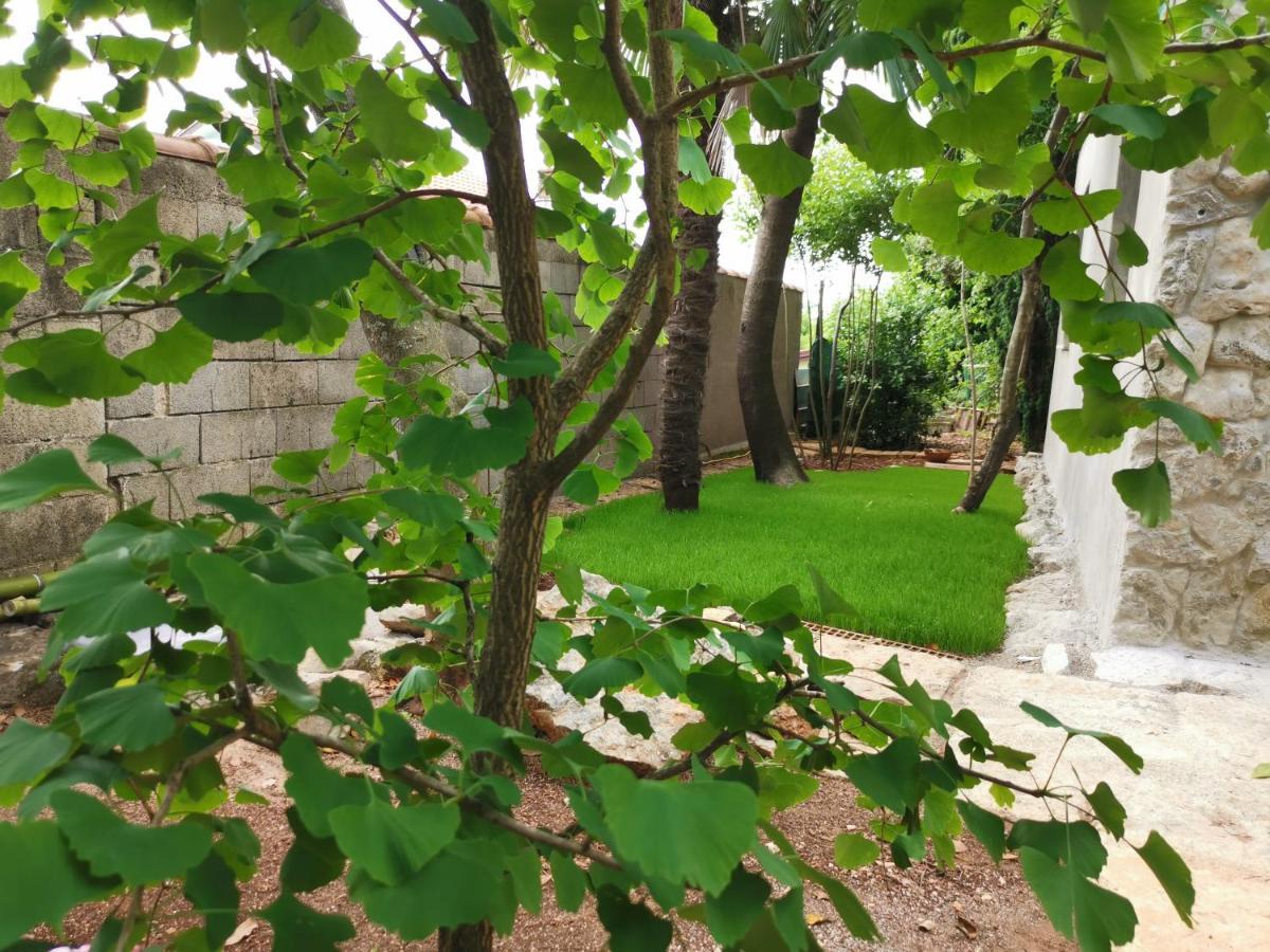 Appartamento Ginko House Abbazia Esterno foto